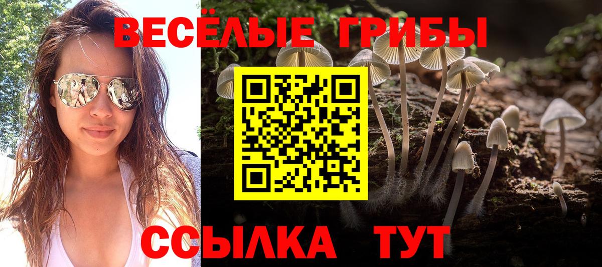 Псилоцибиновые грибы мицелий  Вход с VPN  Юрга 