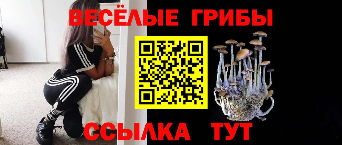Галлюциногенные грибы прущие грибы Юрга